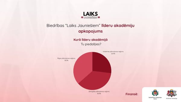 Pasākuma fotogrāfija: Biedrības “Laiks Jauniešiem” Jauno līderu akadēmiju apkopojums!